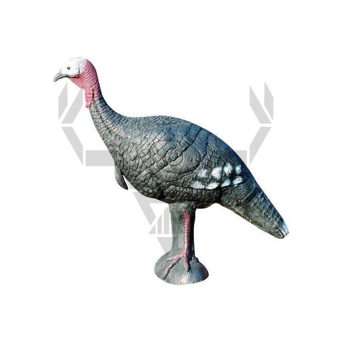 Eleven Target 3D Turkey