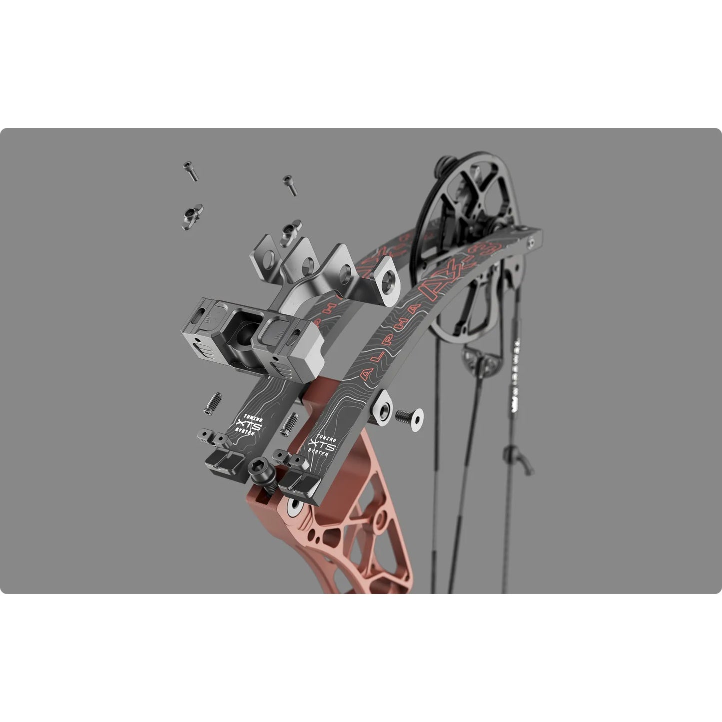 Hoyt Alpha AX-3 29 2026 taljajousi