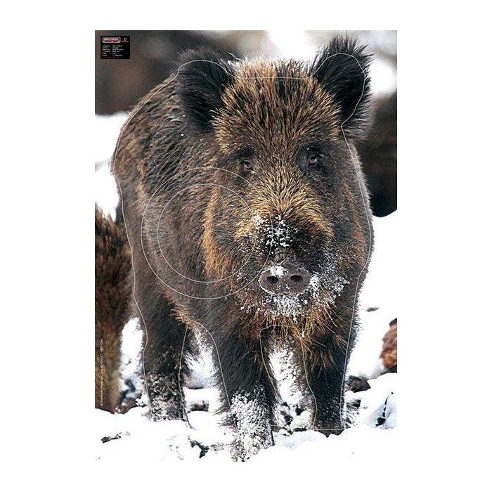 Jousiammuntataulu Villisika 100x70cm