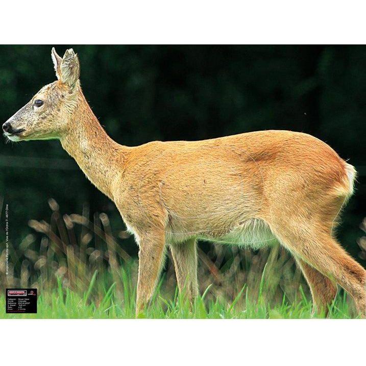 Jousiammuntataulu Kauris 60x80cm