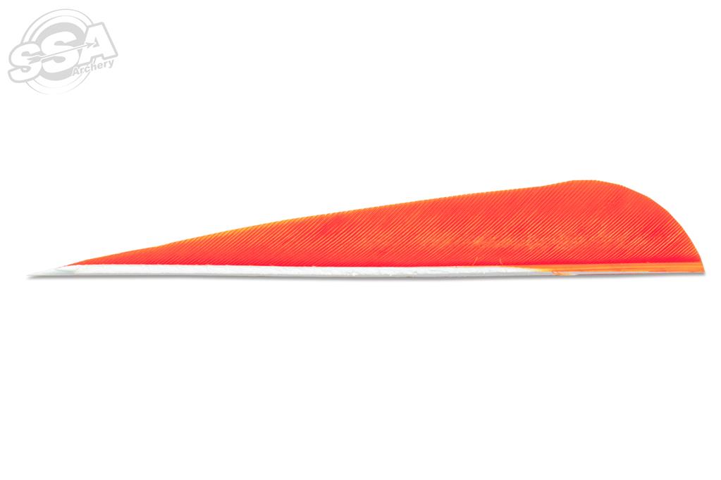 Skylon 4" parabolic RW luonnonsulka 24kpl